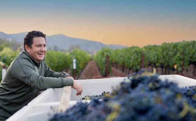 Winemaker Julien Fayard standing at a bin of freshly harvested grapes